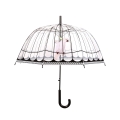 Ombrello trasparente a cupola decorativo con pappagallo Promozione