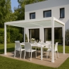 Pergola bioclimatica 3x4m da giardino in alluminio manuale Trinidad Modello