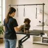 Tavolo Per Toelettatura Cani Gatti Regolabile Idraulico 110 cm Griffon Saldi
