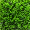 Siepe artificiale 50x50cm pianta felce finta 3D giardino balcone Pritus Saldi