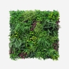 Siepe artificiale realistica 100x100cm piante 3D esterno giardino Ilex Promozione