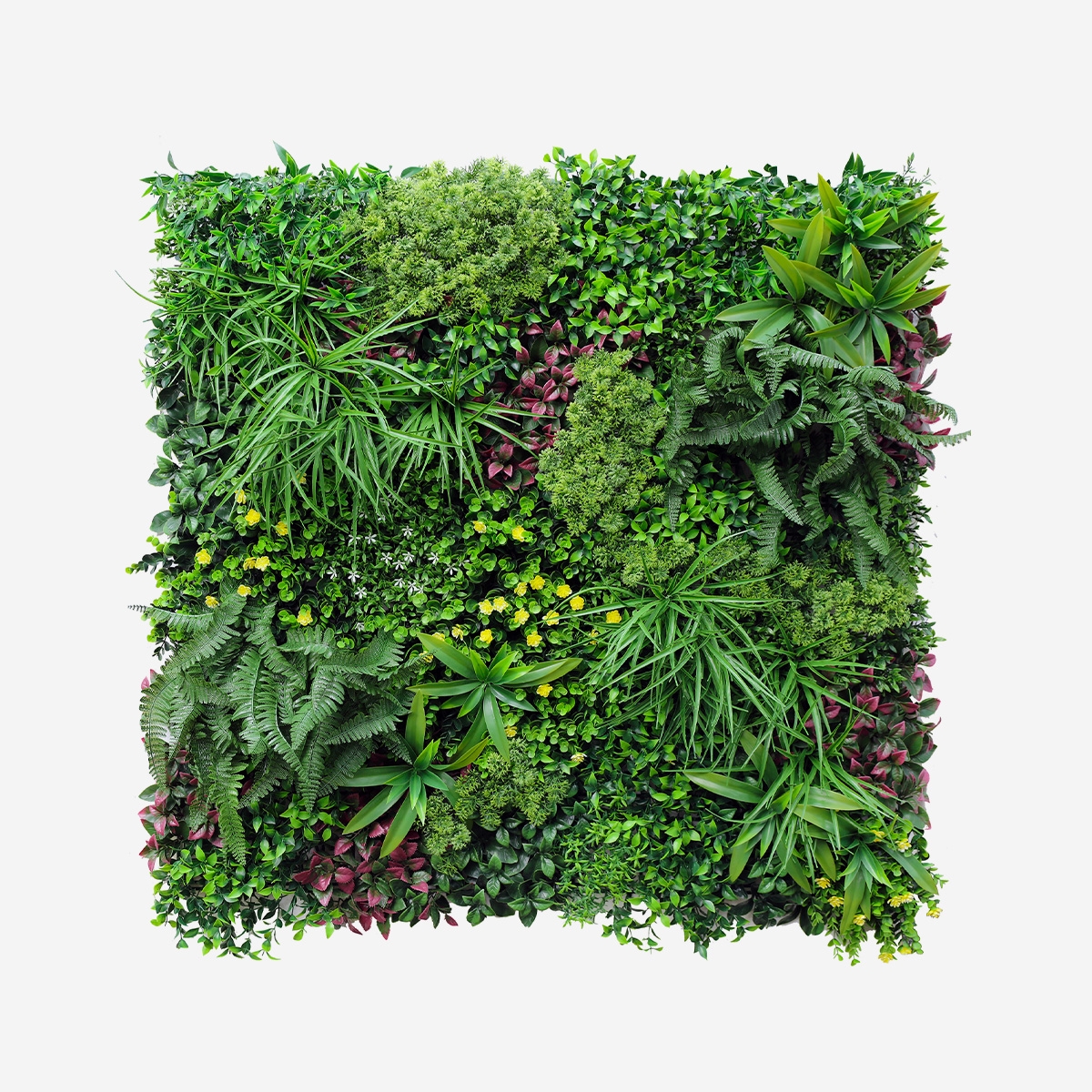 Siepe artificiale realistica 100x100cm piante 3D esterno giardino Ilex