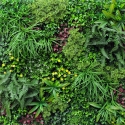 Siepe artificiale realistica 100x100cm piante 3D esterno giardino Ilex Saldi