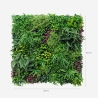 Siepe artificiale realistica 100x100cm piante 3D esterno giardino Ilex Sconti
