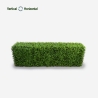 Siepe artificiale bosso da recinzione giardino bassa 158x33x56cm Robuk Offerta