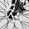 Bici bicicletta elettrica ebike pieghevole Mx25 250W Shimano Stock