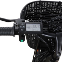 Bicicletta elettrica ebike da donna con cestino 250W RKS XT1 Shimano Catalogo