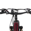 Ebike bicicletta elettrica fatbike MTB 250W MT8 Shimano
