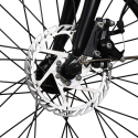 Bici bicicletta elettrica ebike pieghevole Shimano RKS GT 25 Scelta
