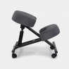 Sedia ergonomica posturale sgabello svedese tessuto Balancesteel Lux Acquisto
