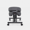 Sedia ergonomica posturale sgabello svedese tessuto Balancesteel Lux 