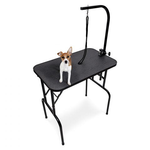 Tavolo per toelettatura cani e gatti regolabile in alluminio Canis