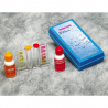 Starter Kit Elite con alghicida antialghe dicloro tester pH/cloro