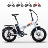 Bici bicicletta elettrica ebike pieghevole RSIII 250W Batteria Litio Shimano Promozione