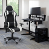 Poltrona gaming sedia ufficio ergonomica cuscini similpelle SilverStone Vendita