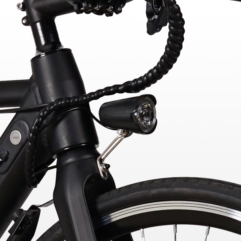 Bicicletta elettrica ebike city bike da uomo 250W Shimano W6 - Foto 21 di 22