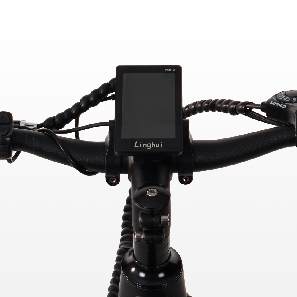 Bicicletta elettrica ebike city bike da uomo 250W Shimano W6 - Foto 22 di 22