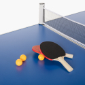 Tavolo da ping pong 160x80 pieghevole interno esterno rete racchette palline Backspin Catalogo