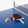 Tavolo da ping pong 160x80 pieghevole interno esterno rete racchette palline Backspin Catalogo