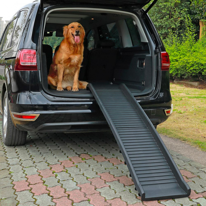 Duvo Easy Step Auto rampa per Cani Fino a 50 kg Grigio plastica 43 x 40 x 26 cm 