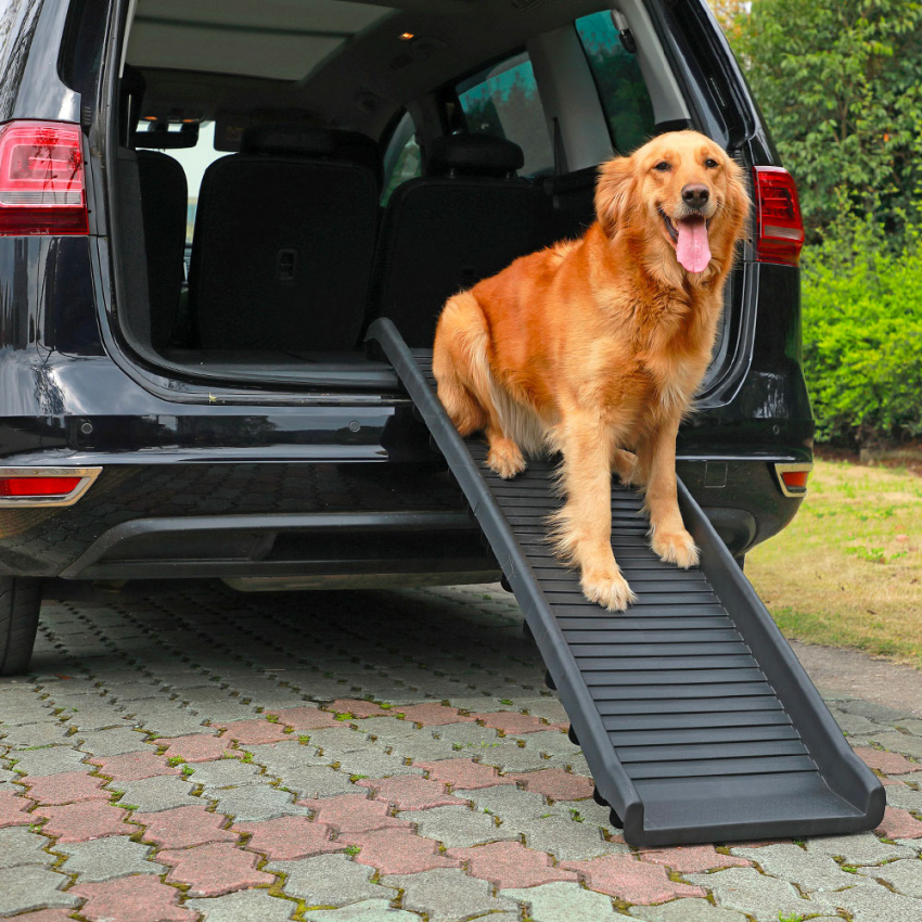 Pieghevole Unisex da Viaggio Gr8 Home 2008088 Rampa per Cani e Gatti in plastica Resistente Leggera per Auto e furgoni 
