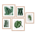 Set 5 quadri foglie stampe collage incorniciate Frame Jungle Vendita