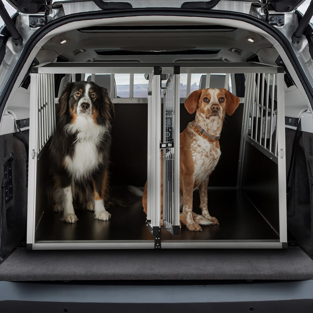 Assassinate defense advertise Guida all'acquisto: come scegliere il Trasportino per Cani e Gatti