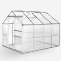 Serra alluminio policarbonato porta finestra giardinaggio 183x245x205cm Laelia Vendita
