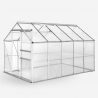 Serra per giardinaggio alluminio policarbonato porta finestra 183x305x205cm Pavonia Vendita