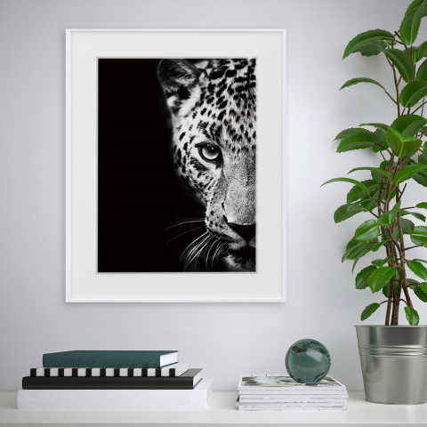Stampa fotografia quadro bianco e nero animali leopardo 40x50cm Variety Kambuku