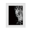 Stampa fotografia quadro bianco e nero animali leopardo 40x50cm Variety Kambuku Vendita