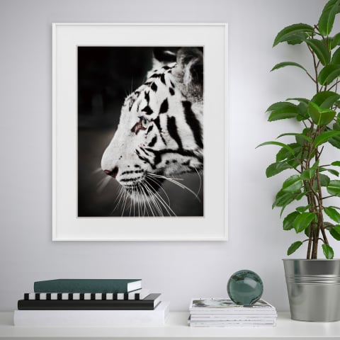 Quadro stampa fotografia bianco e nero tigre animali 40x50cm Variety Harimau