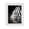 Quadro stampa fotografia bianco e nero tigre animali 40x50cm Variety Harimau Vendita