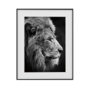 Stampa fotografia quadro bianco e nero leone animali 40x50cm Variety Aslan Vendita