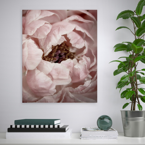 Stampa fiori quadro natura tema floreale cornice 40x50cm Variety Duwa
