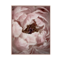 Stampa fiori quadro natura tema floreale cornice 40x50cm Variety Duwa Vendita