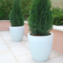 Vaso per piante design alto rotondo Ø 60cm giardino terrazzo balcone Orione Misure