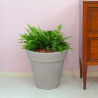 Vaso conico Ø 35cm per piante portavasi design giardino terrazzo Pegasus Stock