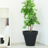 Vaso conico per piante Ø 80cm portavasi design terrazzo giardino Pegasus Stock