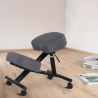 Sedia ergonomica posturale sgabello svedese tessuto Balancesteel Lux Catalogo