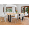 Set 6 sedie design trasparente tavolo da pranzo 180x80cm industriale Vice Stock