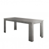 Tavolo da pranzo allungabile 160-210x90cm design moderno grigio Jesi Bronx Offerta