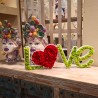 Scritta vegetale muschio lichene stabilizzato decorazione cuore Love