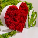 Scritta vegetale muschio lichene stabilizzato decorazione cuore Love Catalogo