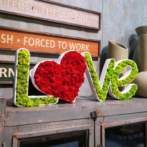 Scritta vegetale muschio lichene stabilizzato decorazione cuore Love Promozione