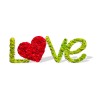 Scritta vegetale muschio lichene stabilizzato decorazione cuore Love Offerta