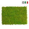 Quadri vegetali stabilizzati 4 pannelli 60x40cm GreenBox Kit Lichene Offerta