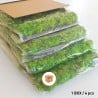 Quadri vegetali stabilizzati 4 pannelli 60x40cm GreenBox Kit Lichene