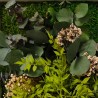 Quadri vegetali fiori stabilizzati piante parete ForestMoss Persefone