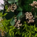 Quadri vegetali fiori stabilizzati piante parete ForestMoss Persefone